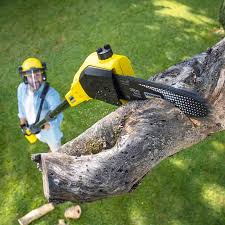 Best Hazardous Tree Removal  in Odenville, AL