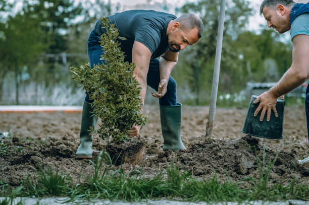 Best Lawn Pest Prevention  in Odenville, AL